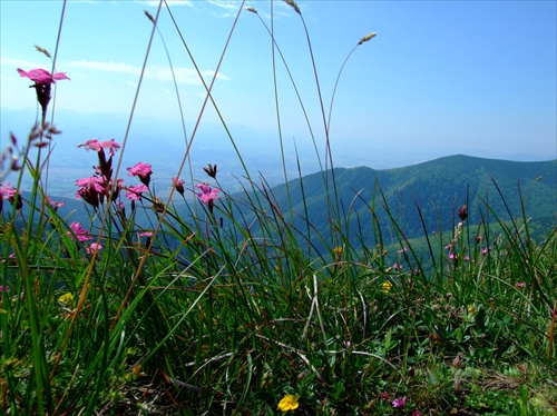 Malá Fatra-hrebeň