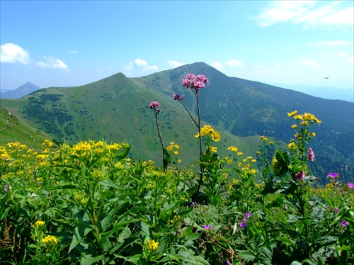 Malá Fatra