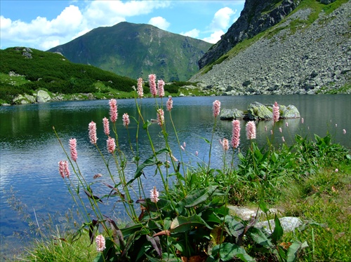 Roháčske pleso