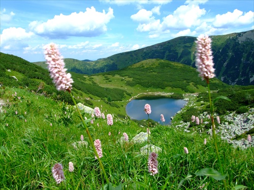 Roháčske pleso