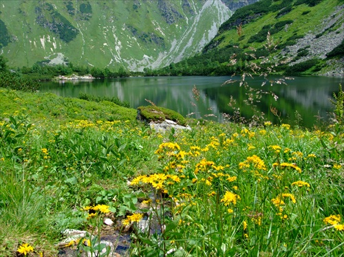 Roháčske pleso