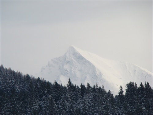 Pýcha Slovenska