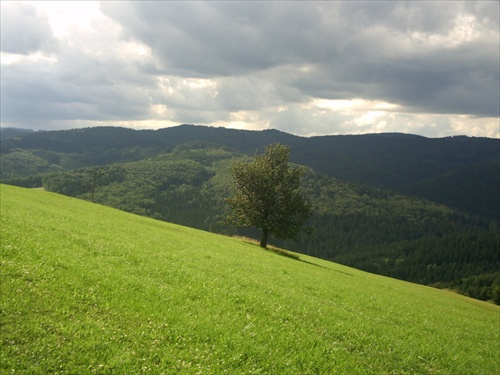 z dešnej do lazov pod makytou