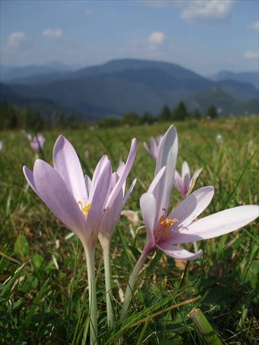 Spomienka na jeseň