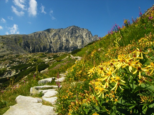 cesta na Batizovské Pleso