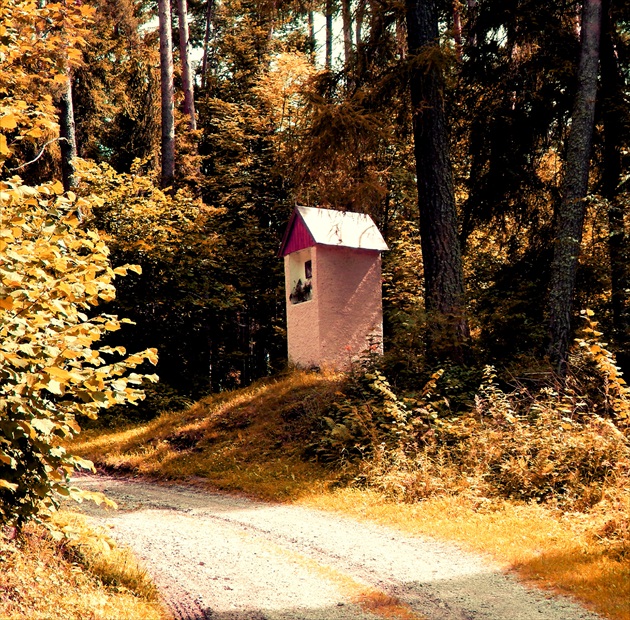 Po cestách růžových, s tebou jít byl by hřích