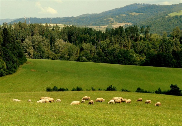 Všade dobre, doma najkrajšie :)