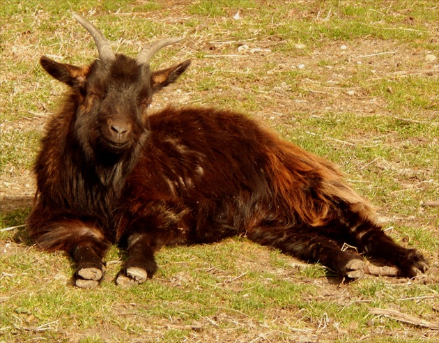 pohoda na slniečku :)