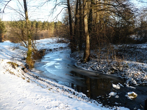 prvé ľady