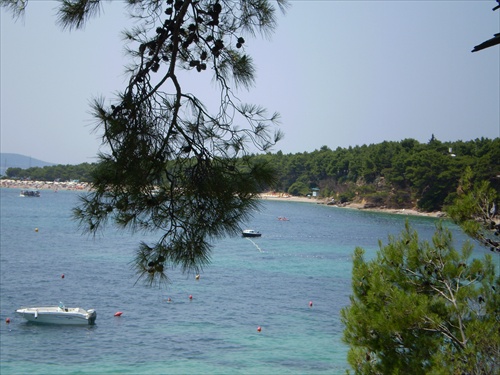 Zlatni rat