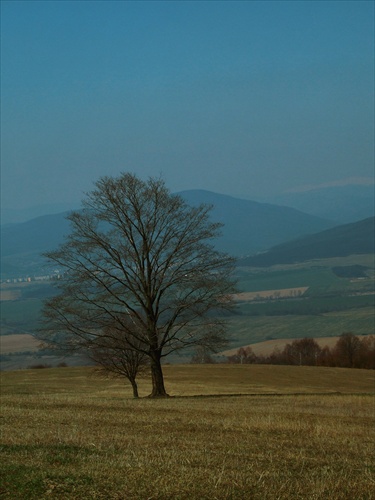 Bez názvu