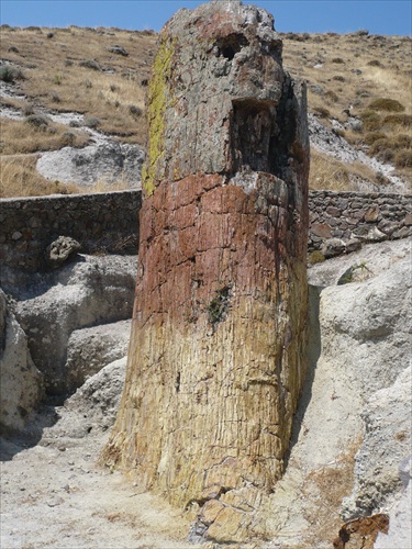 Lesbos - Skamenelý les- Pertified Forest