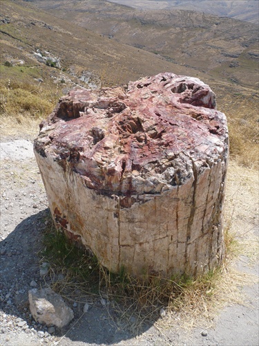 Lesbos - Skamenelý les- Pertified Forest