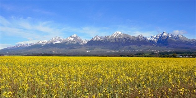 Tatranské panorámy - "Repková"