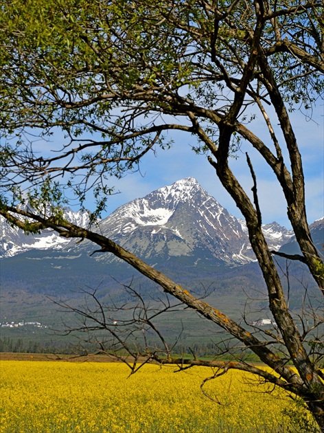 Gerlach - "Veľkosť v malosti"