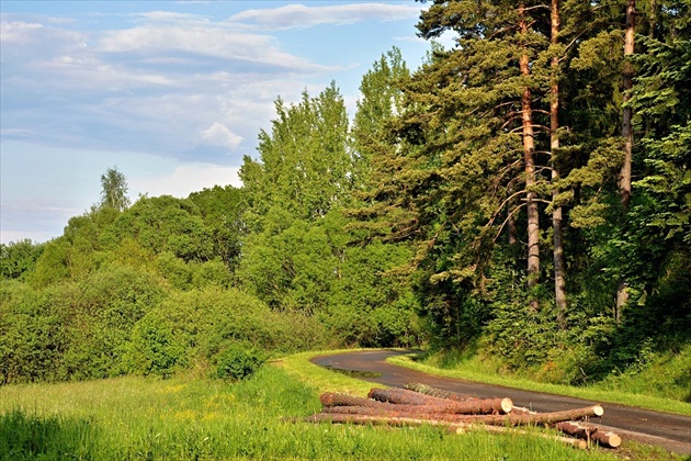 Po daždi