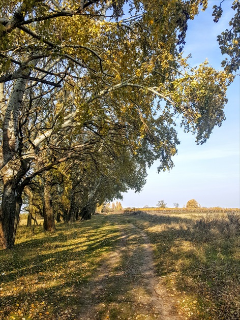 Jesenné chodníčky