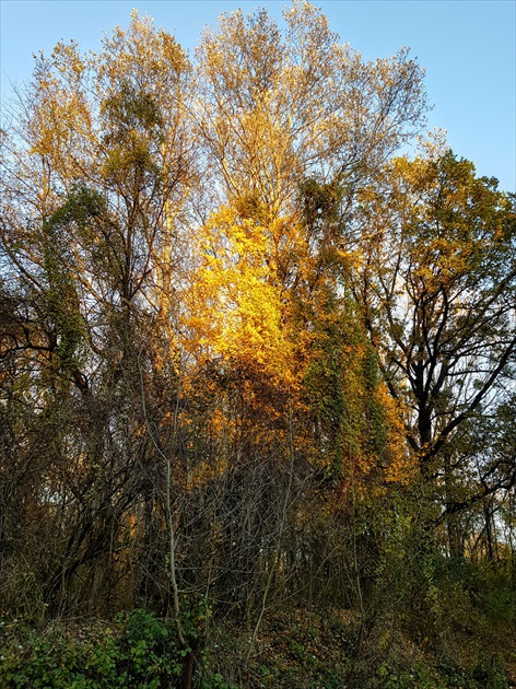 Posledné lúče...