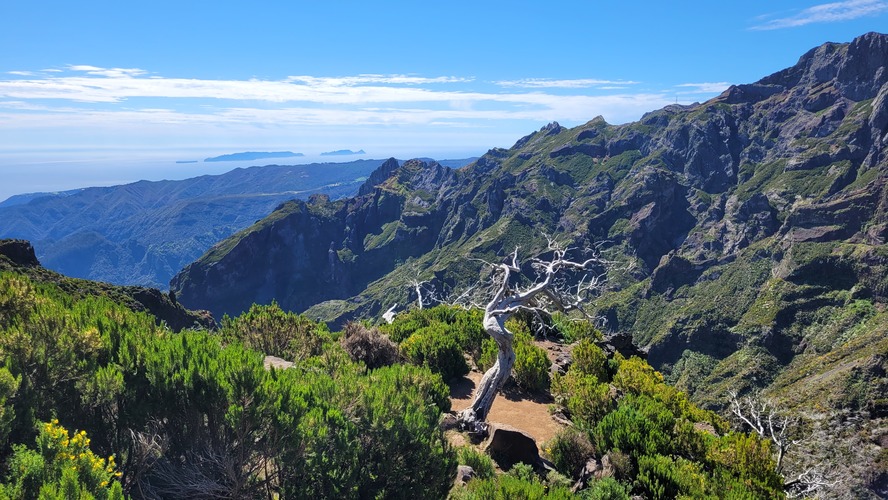 Madeira