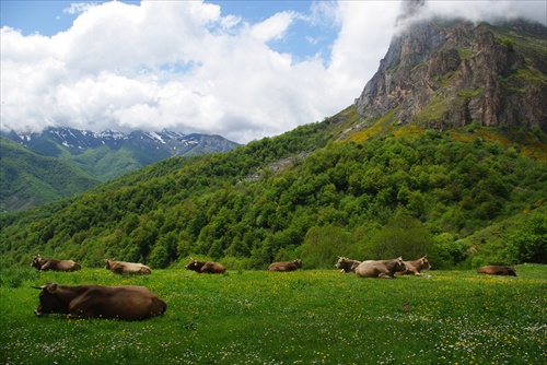 Espinama,Cantabria,Spanielsko