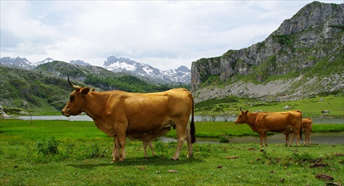 Picos de Europa,Asturias,Spanielsko