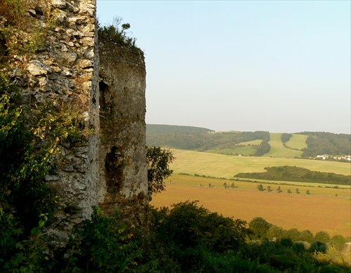 Podčičva