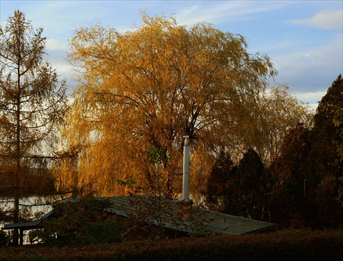 Jesenný podvečer, pokr.  IV