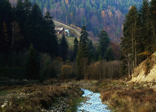 Pstruhový revír