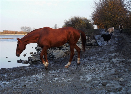 Každodenný rituál