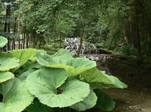 Kaskáda