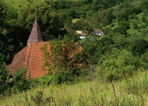 V náručí zelene