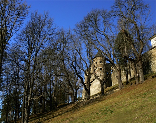 Hrad Ľubovňa