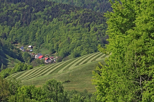 Čas kosenia