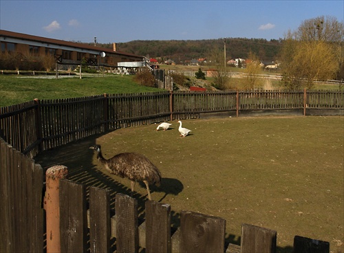 Zaujímavý chov