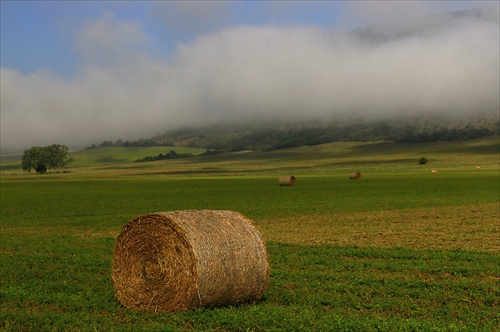 Ráno, keď vstanem a podarí sa mi... zobudiť