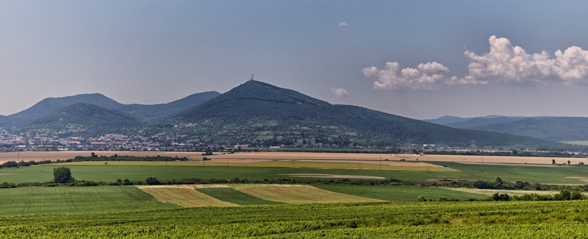 Návrat na Tokaj  2