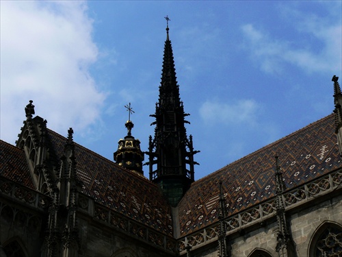 Dóm sv. Alžbety,detail-Košice