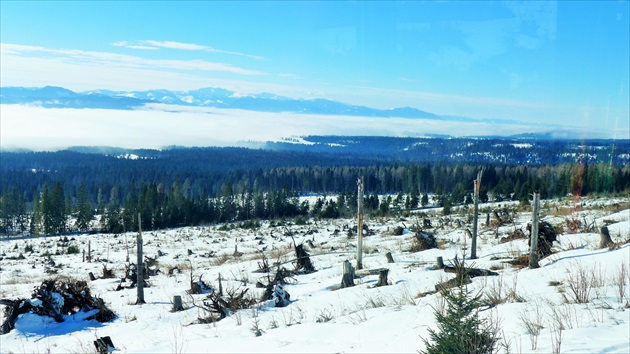 Vysoké Tatry