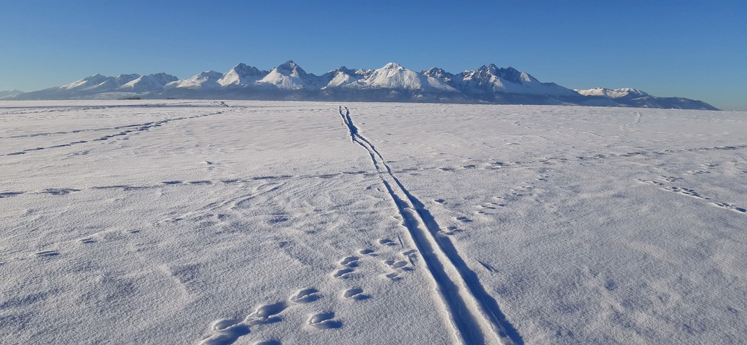 Smerom na Tatry.