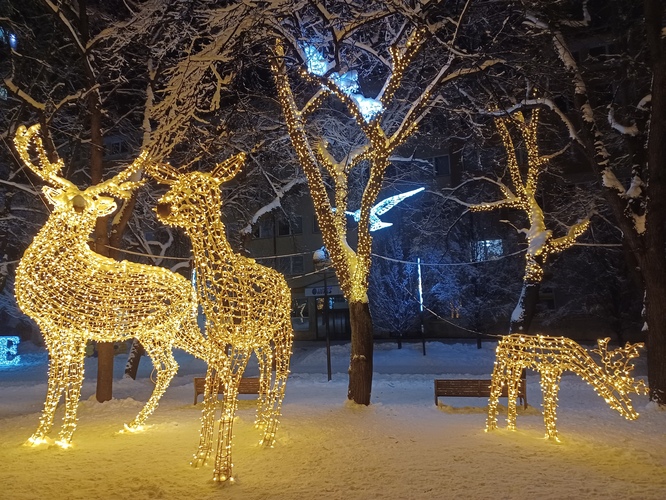 V žiari vianočných svetiel.