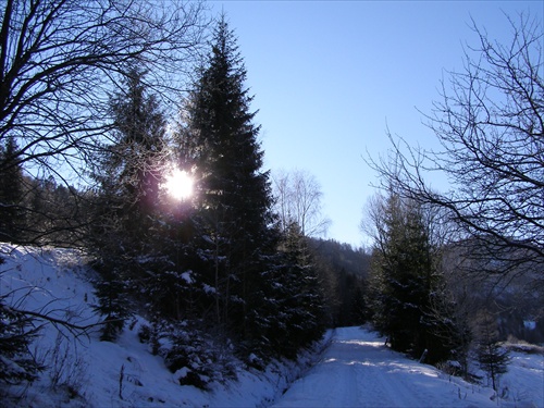 prediera sa, to slniečko