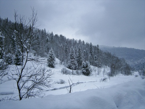 od Čerehaku