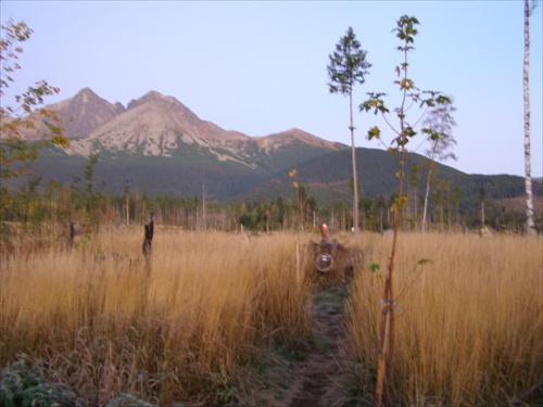 Tatry