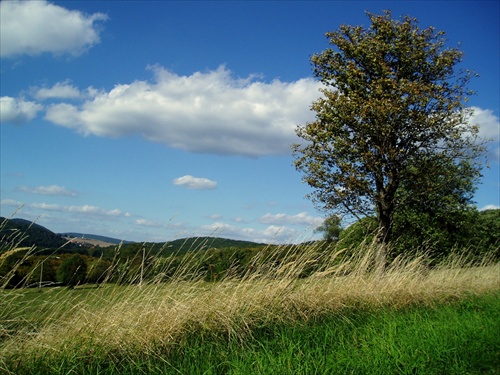 Skorá jeseň v Topoľčiankach