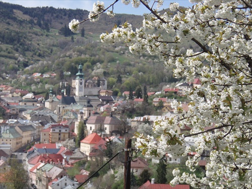 Štiavnica pod čerešňou