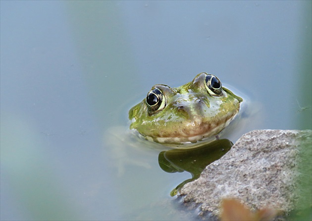 ...ale žiadne muckanie...