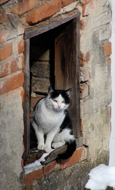 V rámčeku