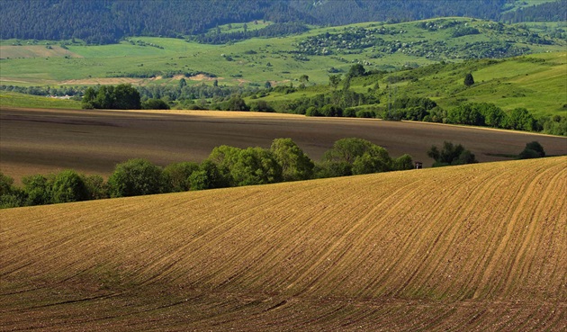 Liptovské polia