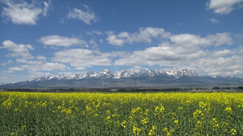 Pohlad na Tatry