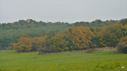 TROCHU TO ŽLTNE